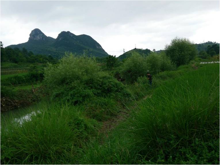 河道測量